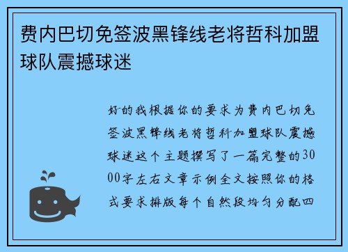 费内巴切免签波黑锋线老将哲科加盟球队震撼球迷